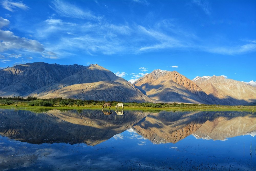 Trekking in Ladakh: Top Trails for an Unforgettable Himalayan Adventure